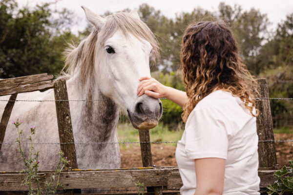 Femme caressant le museau d’un cheval blanc, moment complice illustrant le lien entre l’humain et l’animal