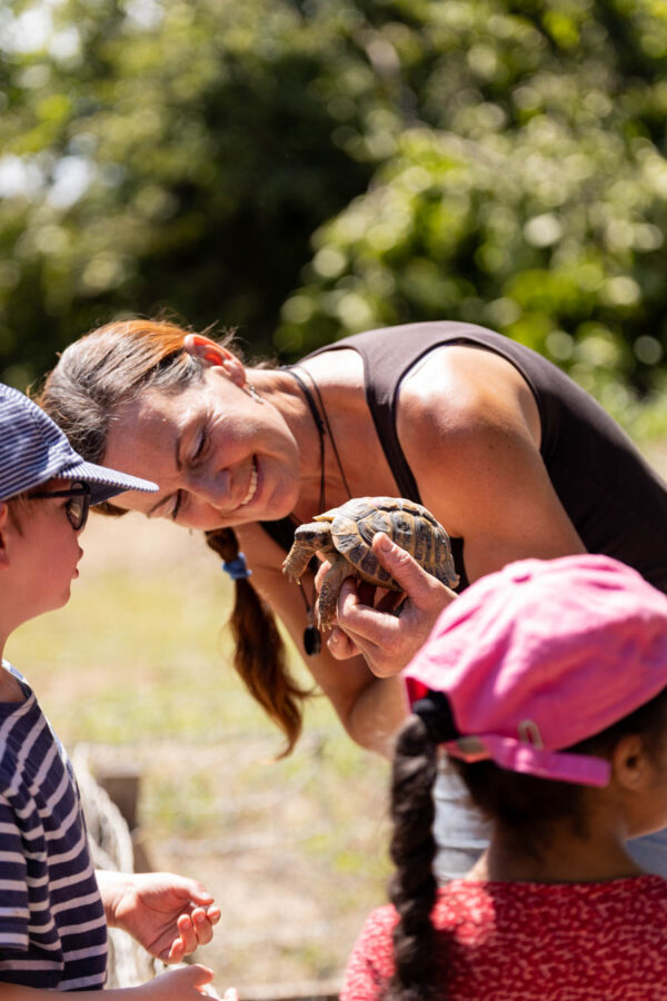 Perrine, l’animatrice, présente une tortue aux enfants émerveillés, tous captivés par la découverte de cet animal fascinant.