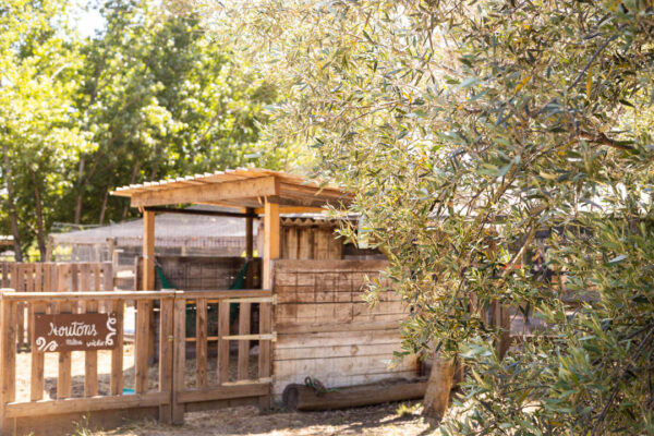 Enclos d’une mini ferme entouré de verdure, avec des animaux en plein air.