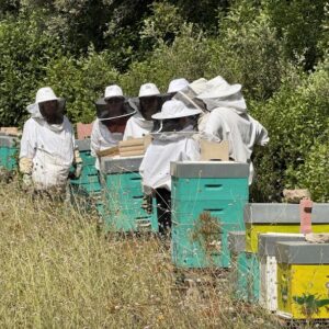 Immersion au cœur des abeilles – en FAMILLE