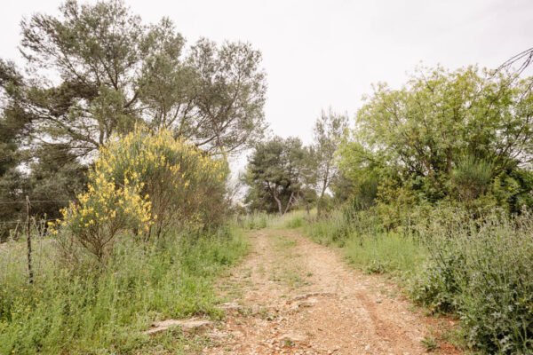 Activité & Troc entre MAMANS en pleine nature ! (Lunel) – Image 2
