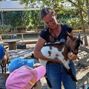 Ateliers Enfant : Hobby horse + Animaux — dès 4 ans (thème Noël)